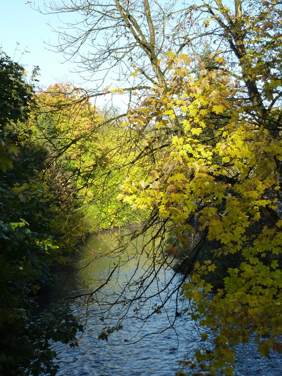 Bille in Reinbek im Herbst