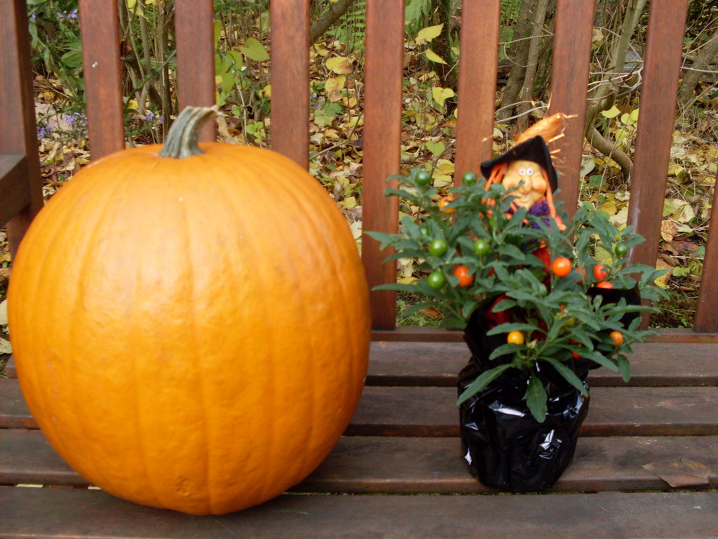 Halloween Hexe mit Kuerbis