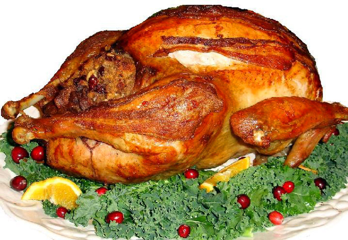 Thanksgiving Turkey - knuspriger Truthahn