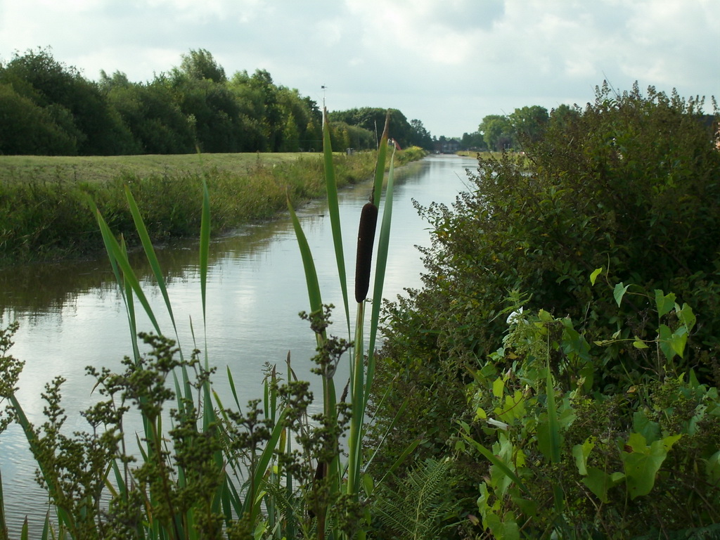 Fehnkanal Westrhauderfehn