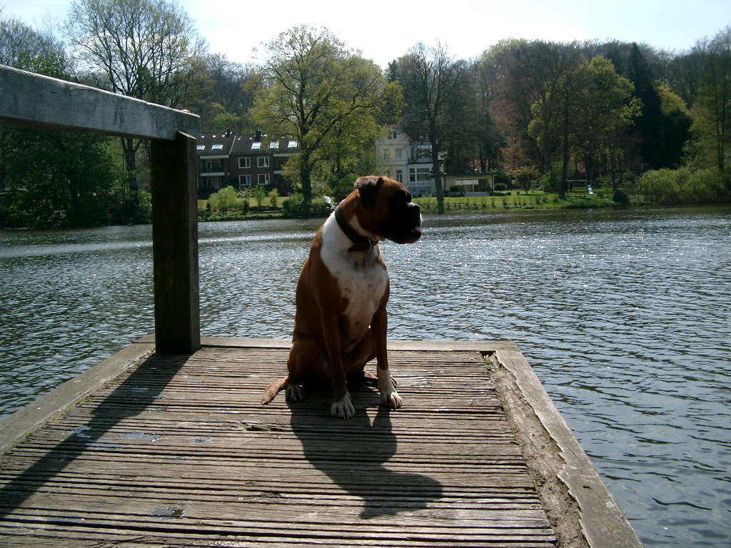 Muehlenteich in Reinbek