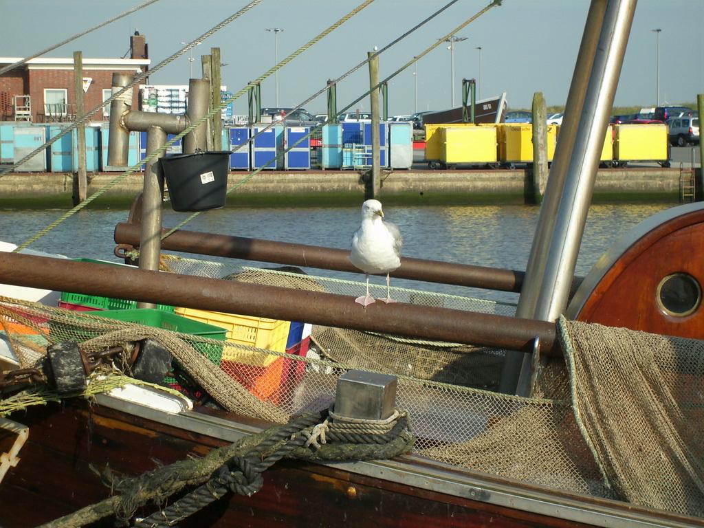 Fischkutter in Harlesiel