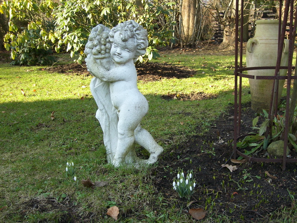 Erste Schneegl�ckchen