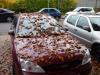 Herbst-Auto