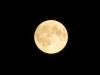 Mond