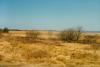 Schilfmeer Fanoe
