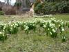 M�rzbecher