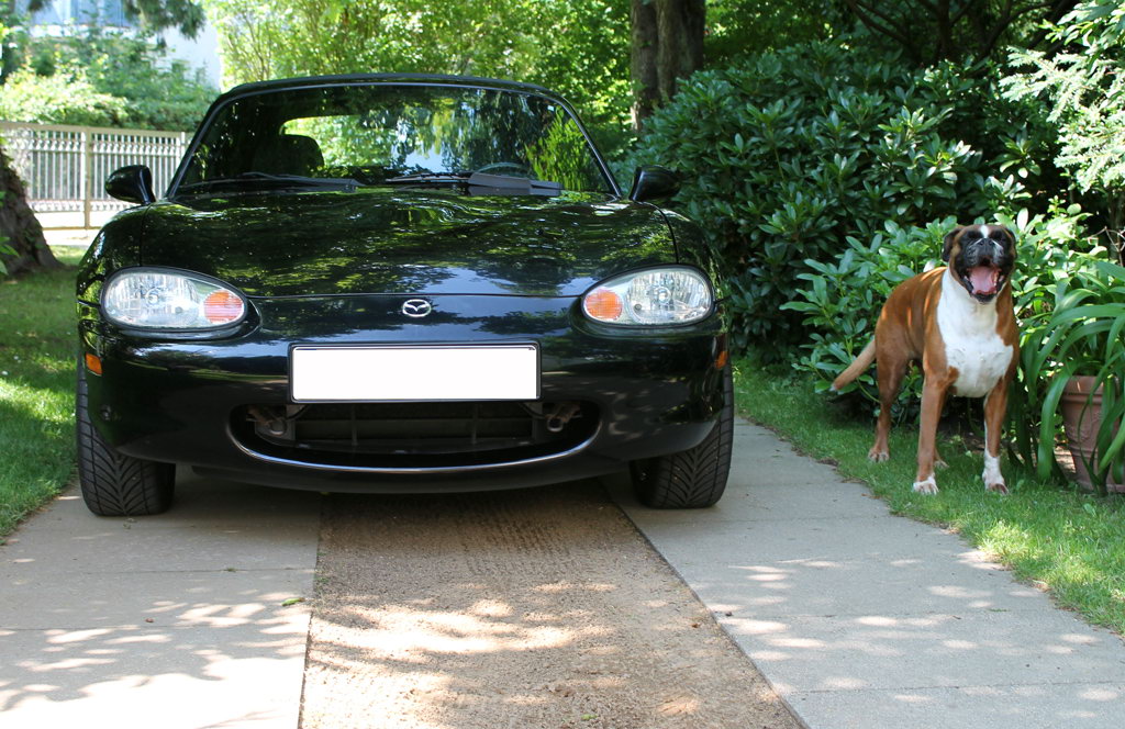Mazda MX-5