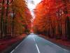 Herbst Herbst