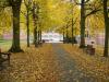 Herbstlaub beim Schloss Reinbek Herbstlaub beim Schloss Reinbek
