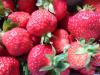Erdbeeren Erdbeeren